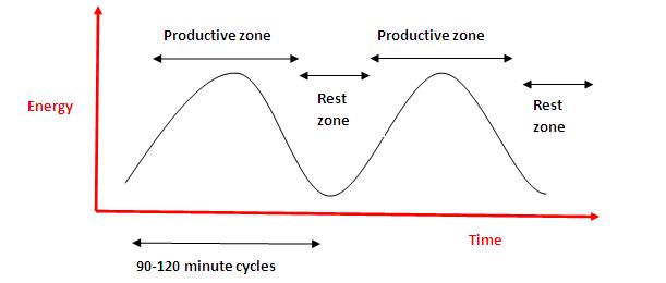 Productive zone